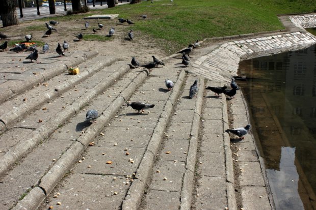 park przy ul. Browarnej