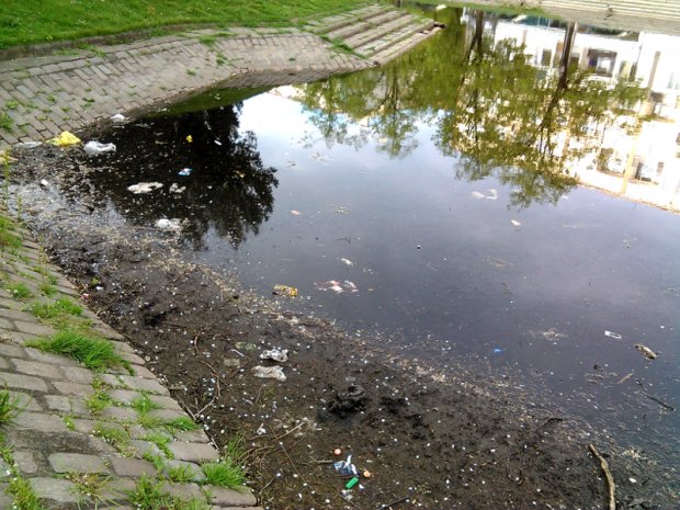 park przy ul. Browarnej