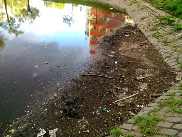 park przy ul. Browarnej