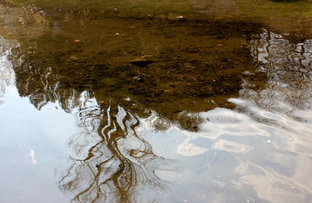 park przy ul. Browarnej