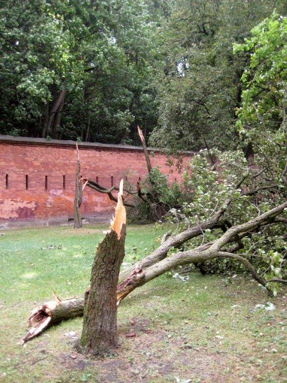 Park "Fosa i stoki Cytadeli"