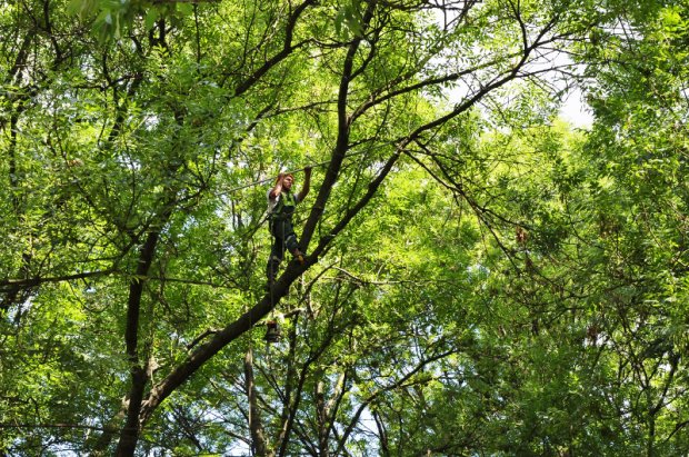 Park Skaryszewski
