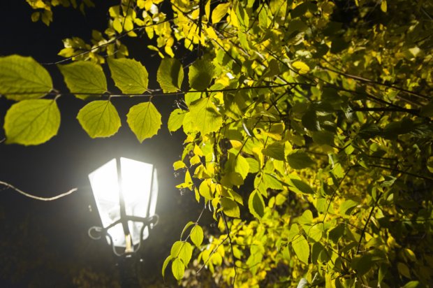 Nowe lampy