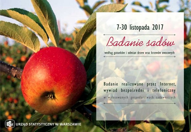 Plakat badanie sadów
