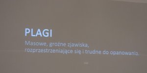 PLAGI - plansza tytułowa