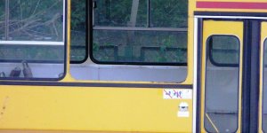 Ikarus 5716 w kąpieli fot. K. Czerbniak
