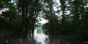 Nad Wisłą 21 maja 2014 - widok na Grubą Kaśkę