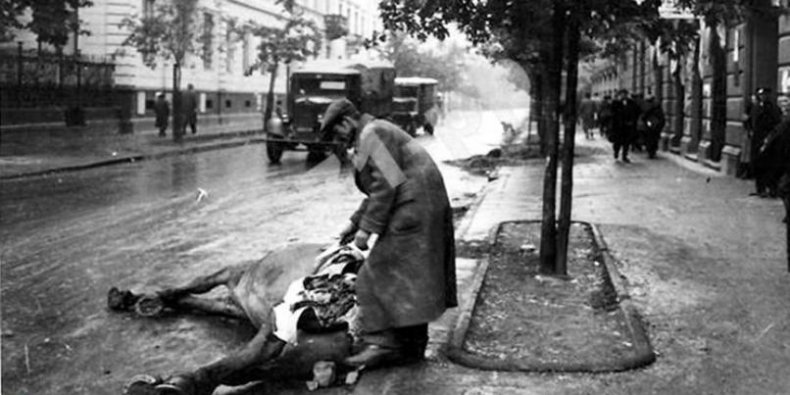 Ulica Wiejska, wrzesień 1939 r. pozyskiwanie koniny
