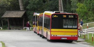 Autobus na linii 519 w Powsinie