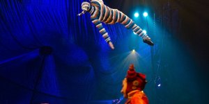 Cirque du Soleil w Warszawie "KOOZA"