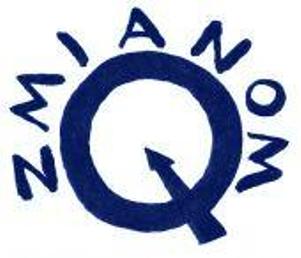 Stowarszyszenie Q Zmianom - logo