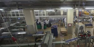 Słodki weekend w Wedlu - linia produkcyjna