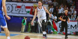 Michał Aleksandrowicz takie cuda tylko w Polsce