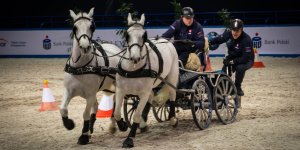 Cavaliada 2015