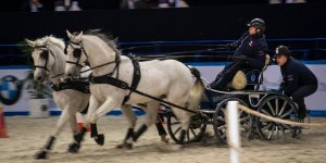 Cavaliada 2015