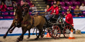 Cavaliada 2015