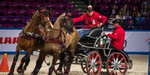 Cavaliada 2015