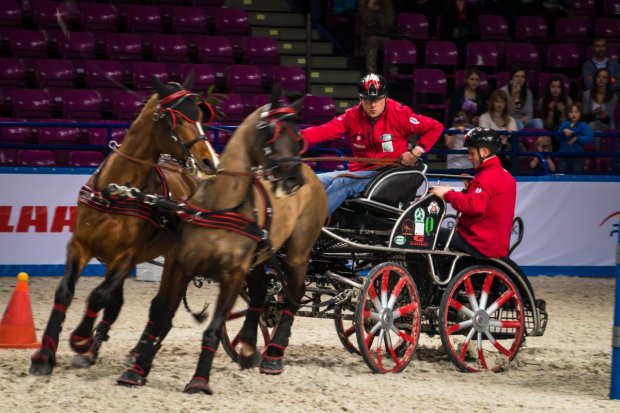 Cavaliada 2015