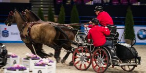 Cavaliada 2015