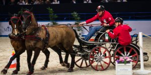 Cavaliada 2015
