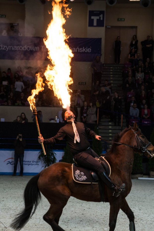 Cavaliada 2015