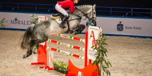 Cavaliada 2015