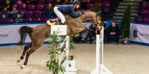 Cavaliada 2015