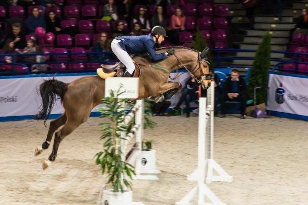 Cavaliada 2015