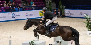 Cavaliada 2015
