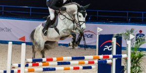 Cavaliada 2015