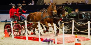 Cavaliada 2015