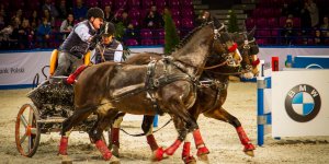 Cavaliada 2015