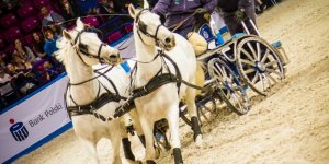 Cavaliada 2015