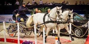 Cavaliada 2015