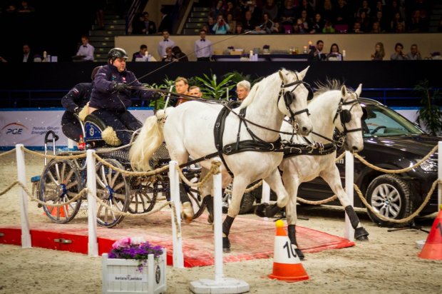 Cavaliada 2015