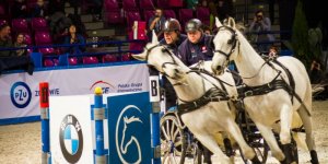 Cavaliada 2015