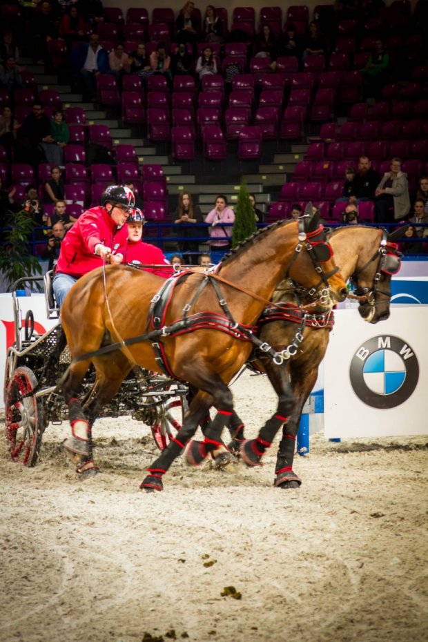 Cavaliada 2015