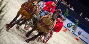 Cavaliada 2015