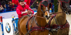 Cavaliada 2015