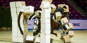 Cavaliada 2015