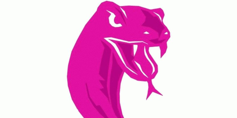 Węże część logotypu