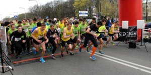 Bieg SGH - rok 2014