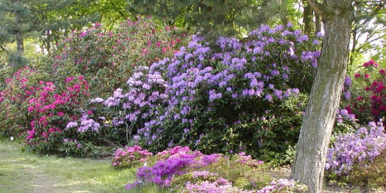 Ogród Botaniczny PAN w Powsinie