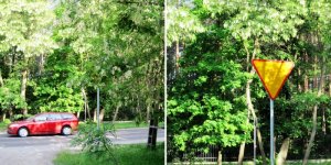 ul Bohaterów na Białołęce