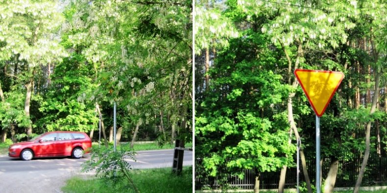 ul Bohaterów na Białołęce