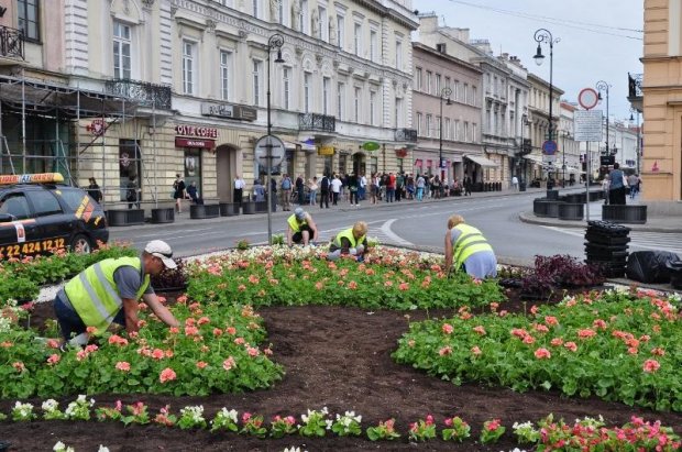 Kompozycje kwietne  projekty pracowników Działu Zieleni i Działu Parków ZOM.