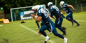 Sharks vs Steelers