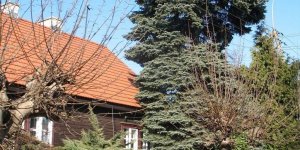 Osiedle Przyjaźń na Jelonkach w dzielnicy Bemowo w Warszawie - 2011 r.