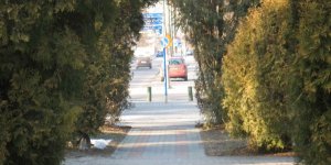 Osiedle Przyjaźń na Jelonkach w dzielnicy Bemowo w Warszawie - 2011 r.