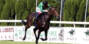 Gala Derby 2015